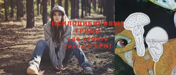 кокс Баксан